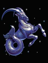 ПЪЛЕН ГОДИШЕН ХОРОСКОП НА КОЗИРОГ ЗА 2017